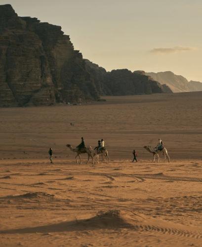 wadi-rum-camel-ride-5